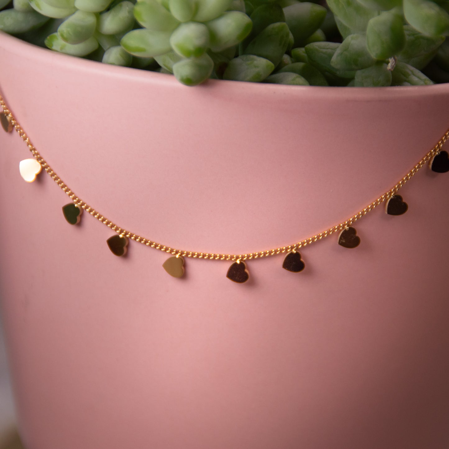 Chic stainless Chocker